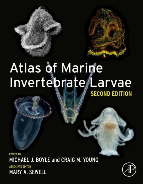 Atlas of Marine Invertebrate Larvae cover