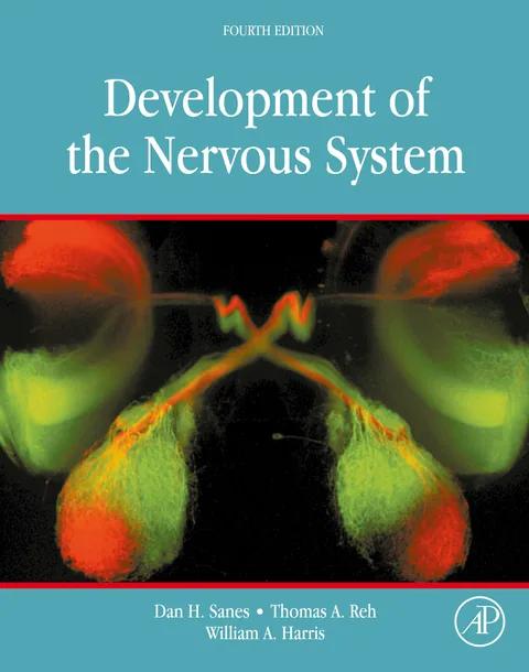 Development of the Nervous System cover
