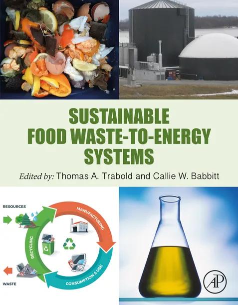 Sustainable Food Waste-to-Energy Systems cover