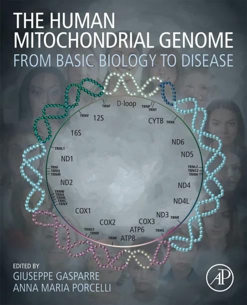 The Human Mitochondrial Genome cover