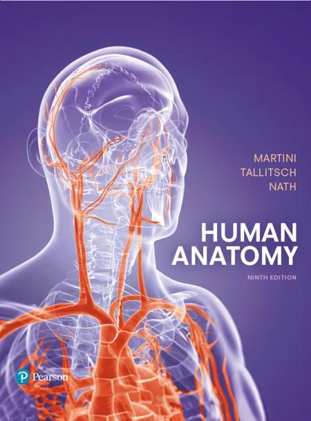 Human Anatomy cover