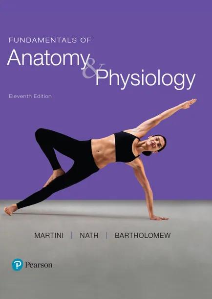 Fundamentals of Anatomy & Physiology cover