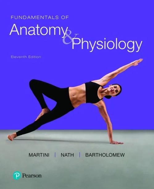 Fundamentals of Anatomy & Physiology (Pearson+) cover