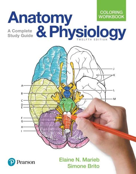 Anatomy and Physiology Coloring Workbook cover