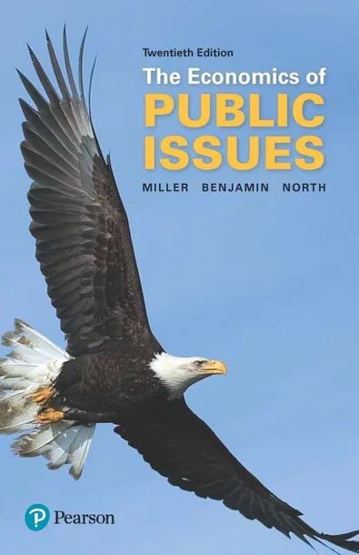 The Economics of Public Issues cover