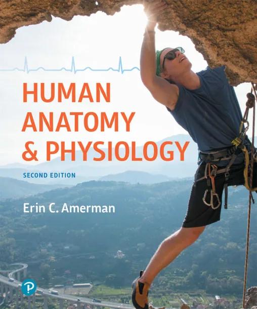 Human Anatomy & Physiology cover