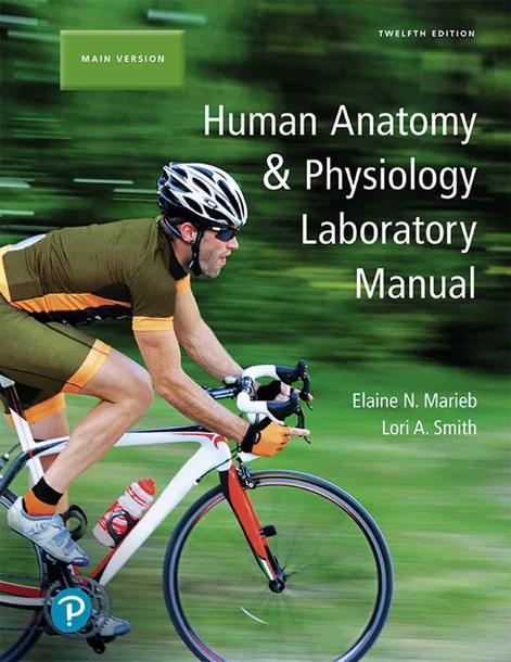 Human Anatomy & Physiology Laboratory Manual, Main Version cover