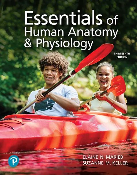 Essentials of Human Anatomy & Physiology cover