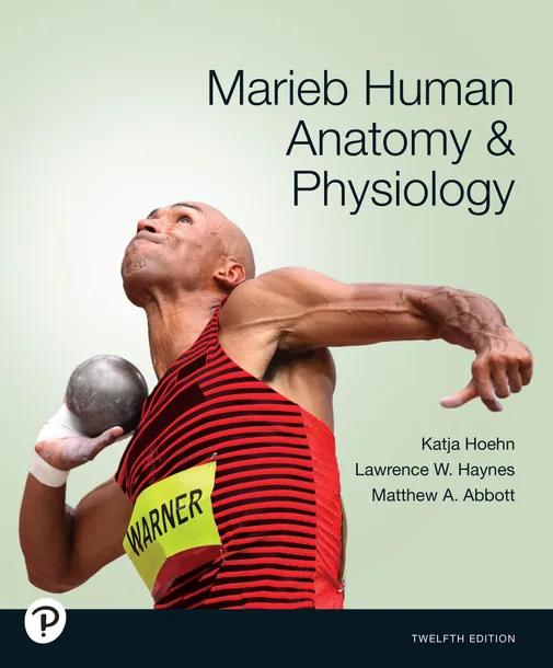 Marieb Human Anatomy & Physiology cover