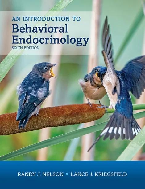 An Introduction to Behavioral Endocrinology cover