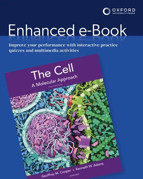 The Cell cover
