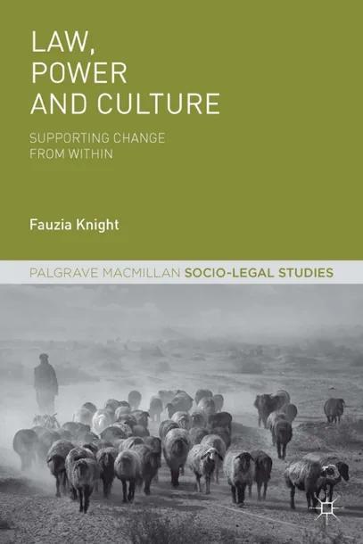 Law, Power and Culture cover