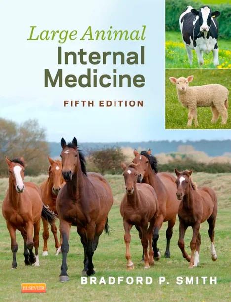 Large Animal Internal Medicine cover