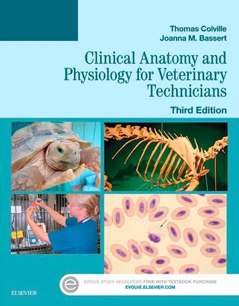Clinical Anatomy and Physiology for Veterinary Technicians cover