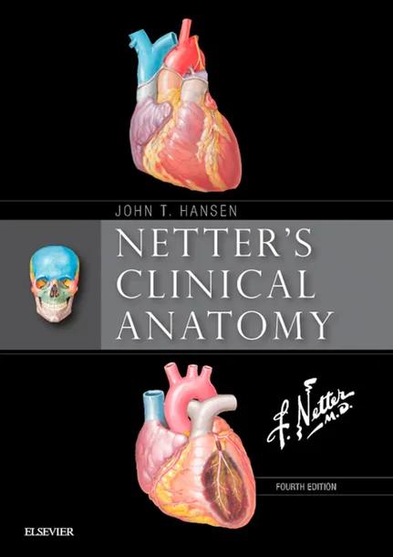 Netter's Clinical Anatomy