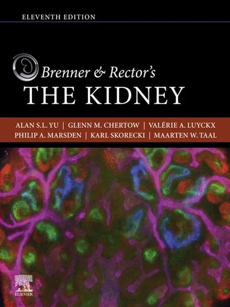 Brenner and Rector's The Kidney cover