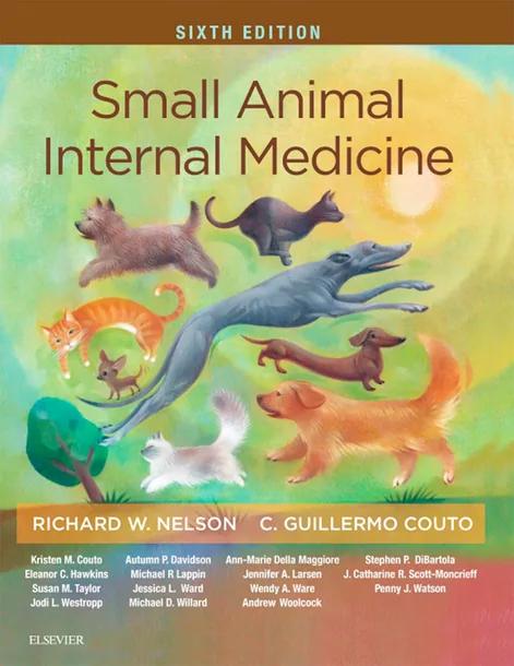 Small Animal Internal Medicine cover