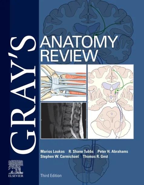Gray's Anatomy Review cover
