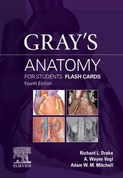 Gray's Anatomy for Students Flash Cards cover