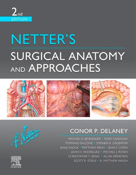 Netter's Surgical Anatomy and Approaches cover