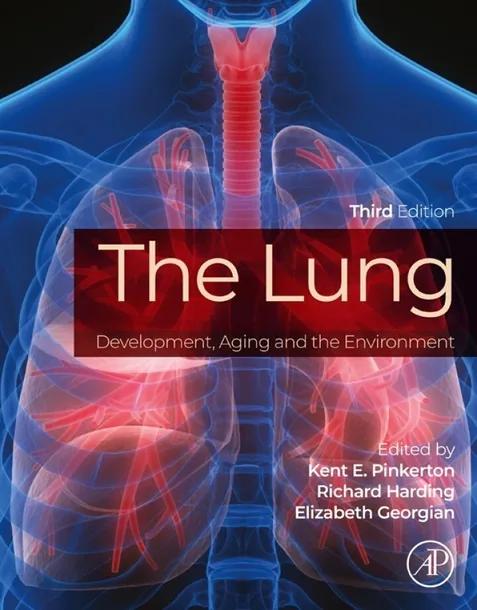 The Lung cover