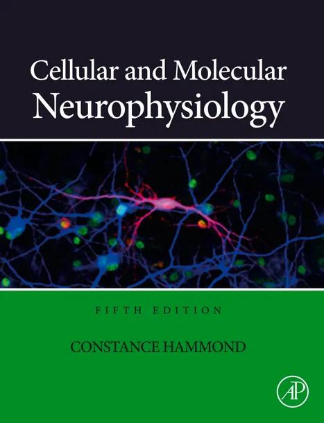 Cellular and Molecular Neurophysiology cover