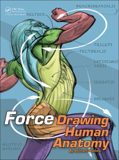 FORCE: Drawing Human Anatomy