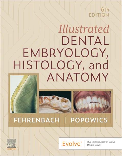 Illustrated Dental Embryology, Histology, and Anatomy cover