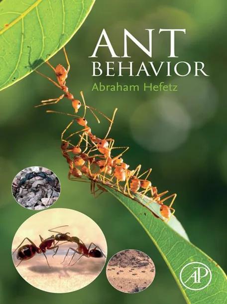 Ant Behavior cover