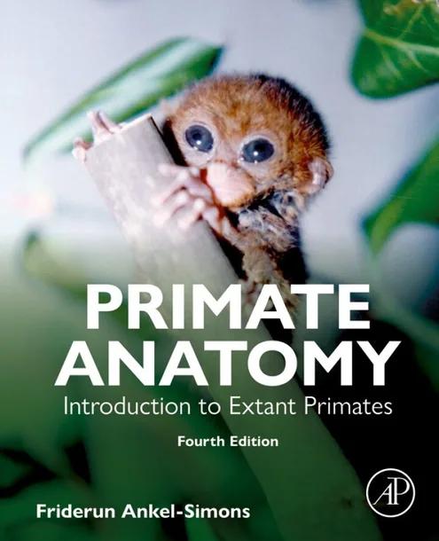Primate Anatomy cover