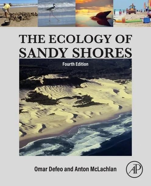 The Ecology of Sandy Shores cover