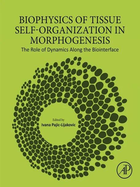 Biophysics of Tissue Self-Organization in Morphogenesis cover