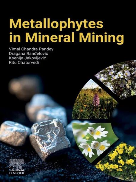 Metallophytes in Mineral Mining cover
