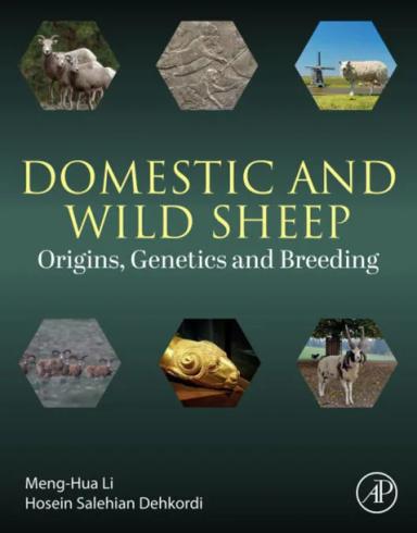 Domestic and Wild Sheep