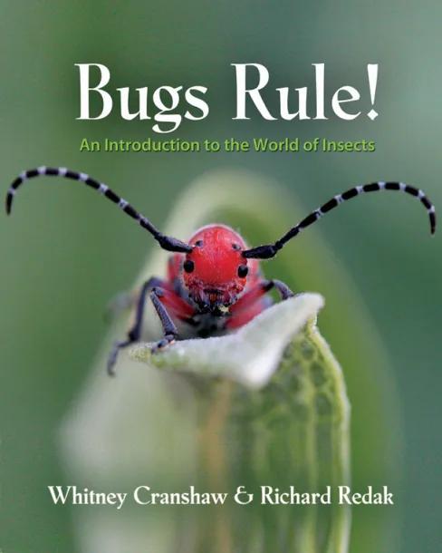 Bugs Rule! cover