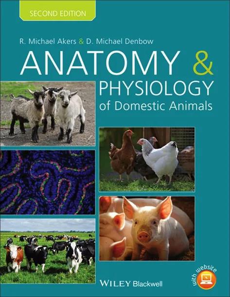 Anatomy and Physiology of Domestic Animals cover