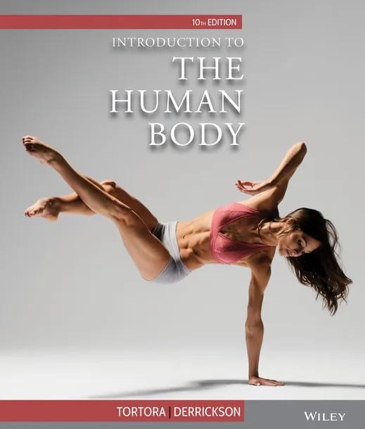 Introduction to the Human Body cover