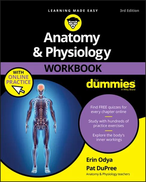 Anatomy and Physiology Workbook For Dummies cover