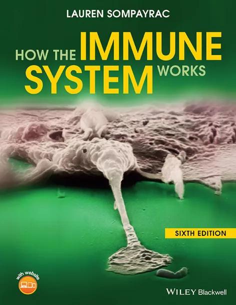 How the Immune System Works cover