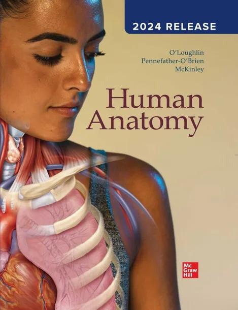 Human Anatomy