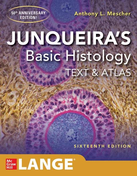 Junqueira's Basic Histology cover
