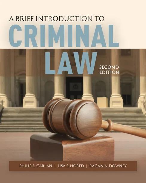 A Brief Introduction to Criminal Law cover