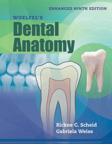 Woelfel's Dental Anatomy, Enhanced Edition cover