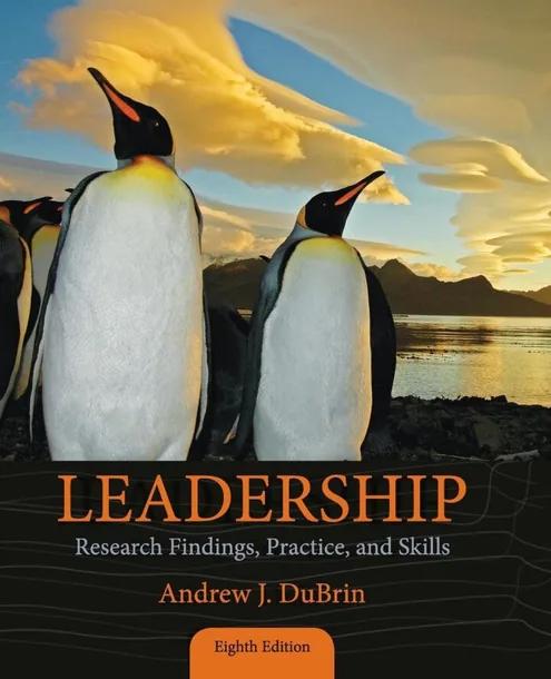 Leadership: Research Findings, Practice, and Skills cover