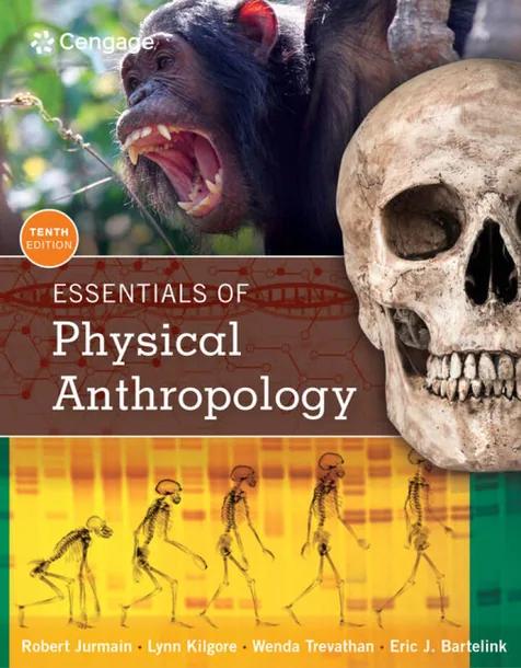 Essentials of Physical Anthropology cover