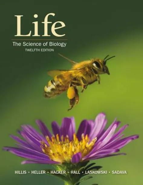 Life: The Science of Biology cover