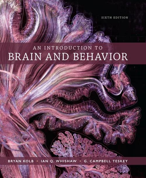 An Introduction to Brain and Behavior cover