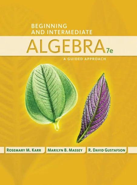 Beginning and Intermediate Algebra cover