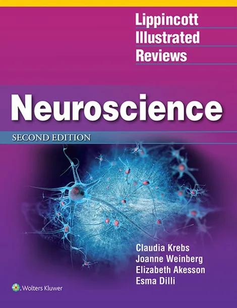 Lippincott Illustrated Reviews: Neuroscience cover