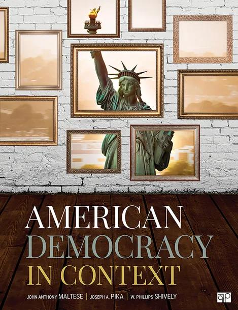 American Democracy in Context cover